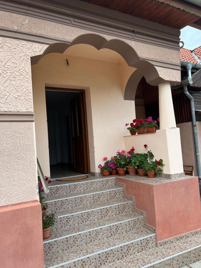 Вилла Casa Andrei Кырцишоара Экстерьер фото