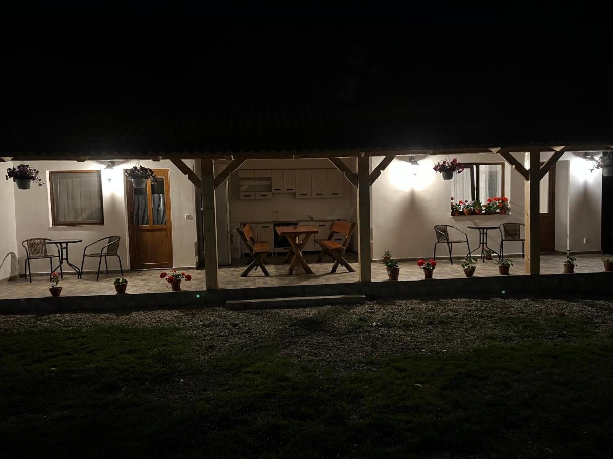 Вилла Casa Andrei Кырцишоара Экстерьер фото